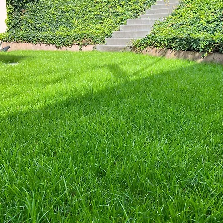 アパート Phantasialand Family Erftstadt-bruehl-cologne エアフトシュタット