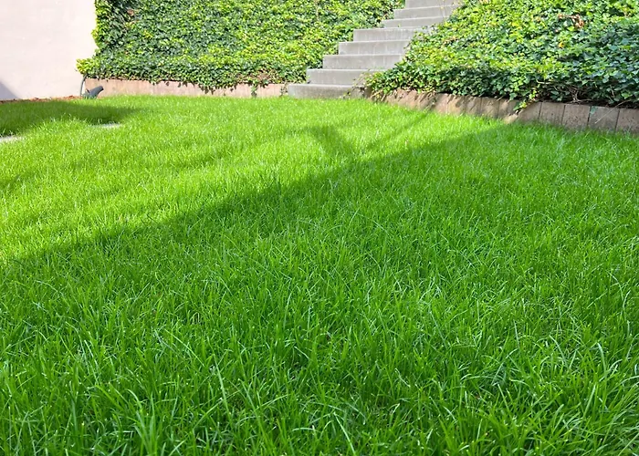 アパート Phantasialand Family Erftstadt-bruehl-cologne エアフトシュタット